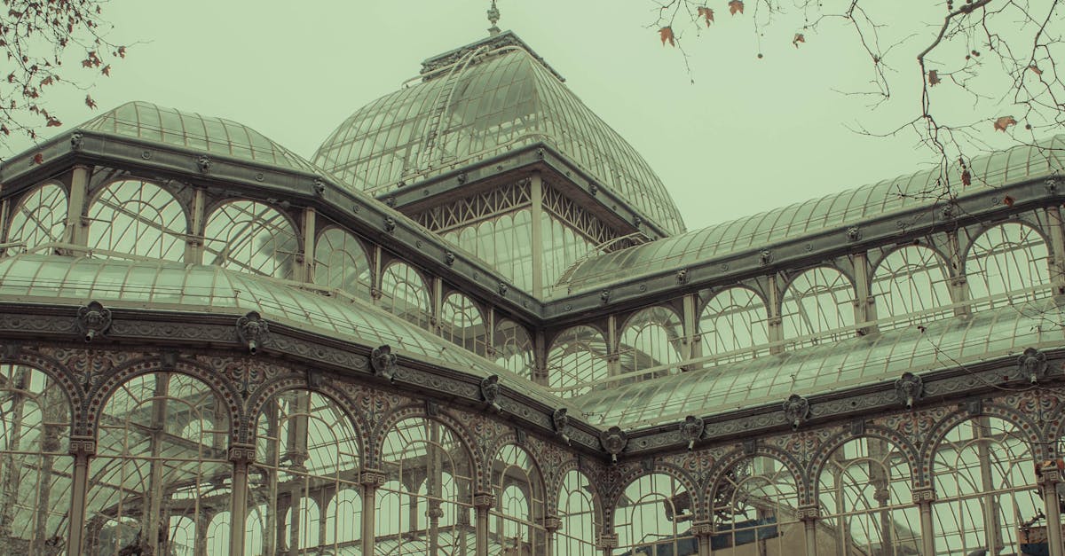 Immersive Experiences: Emerging Installations Transforming Melbourne