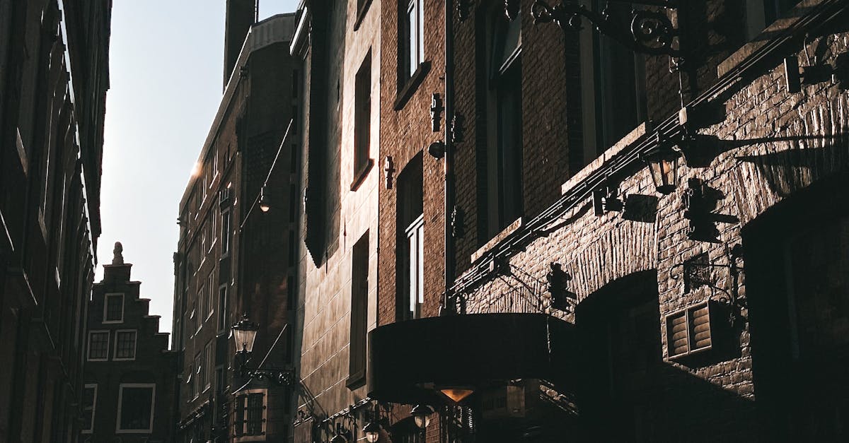 Spotlight on Melbourne's Up-and-Coming Abstract Painters