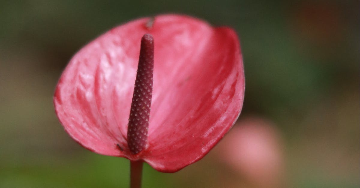 The Rise of Sustainable Practices Among Melbourne's Mixed Media Artists